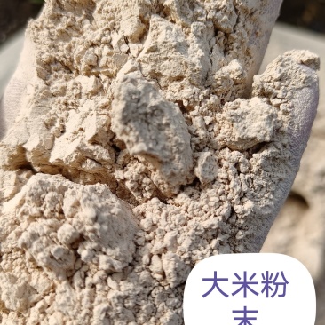 大米粉末，大米厂筛出，蛋白6—10，含淀粉。饲料厂用辅料