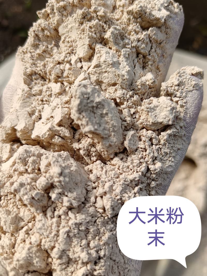 大米粉末，大米厂筛出，蛋白6—10，含淀粉。饲料厂用辅料