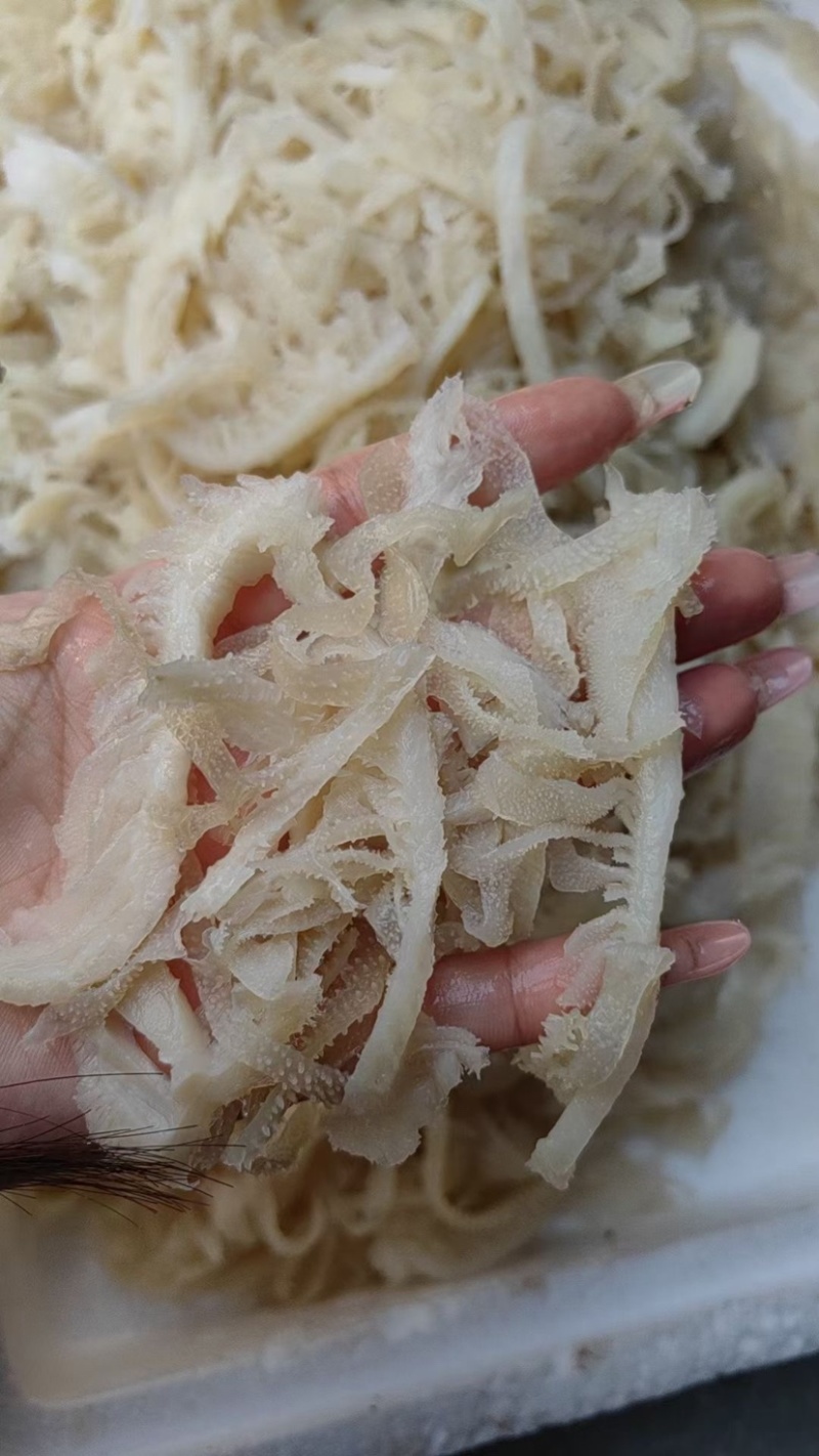 毛肚脆毛肚碎白千牛百叶毛血旺火锅串串食材冒菜串串配菜