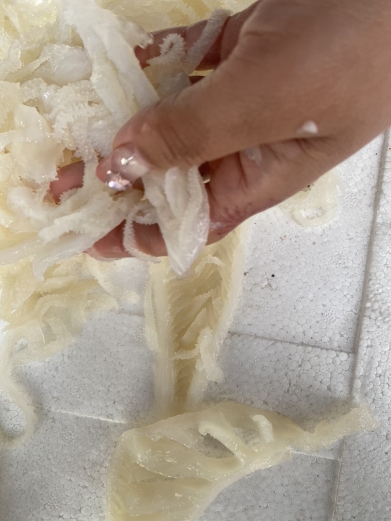 毛肚脆毛肚碎白千牛百叶毛血旺火锅串串食材冒菜串串配菜