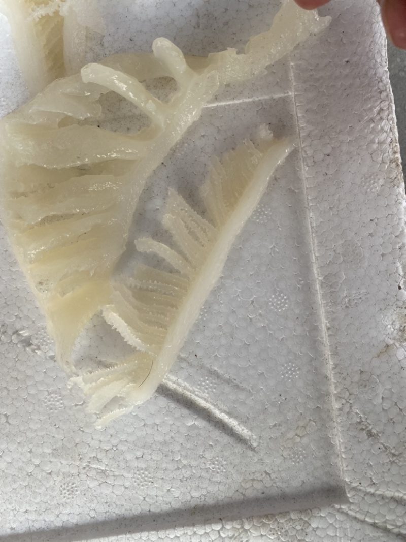 毛肚脆毛肚碎白千牛百叶毛血旺火锅串串食材冒菜串串配菜
