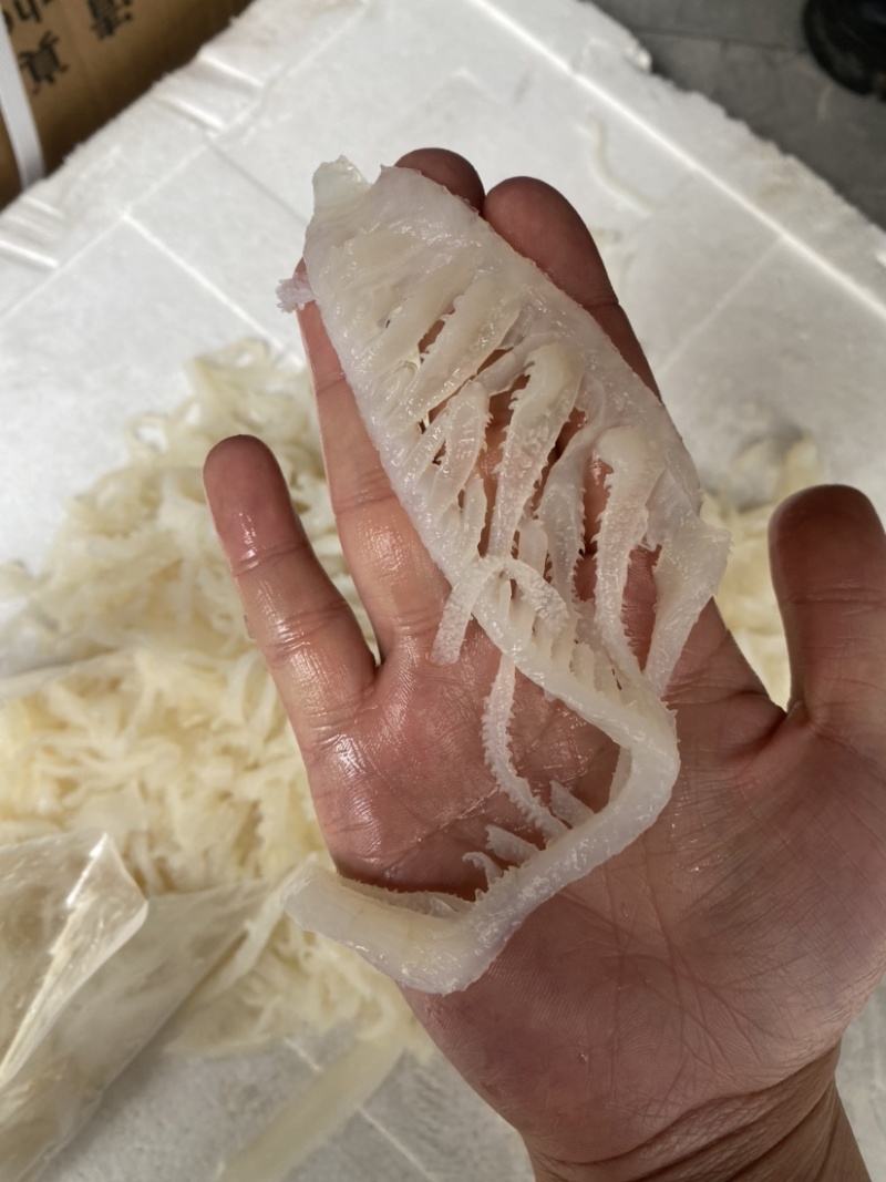 毛肚脆毛肚碎白千牛百叶毛血旺火锅串串食材冒菜串串配菜