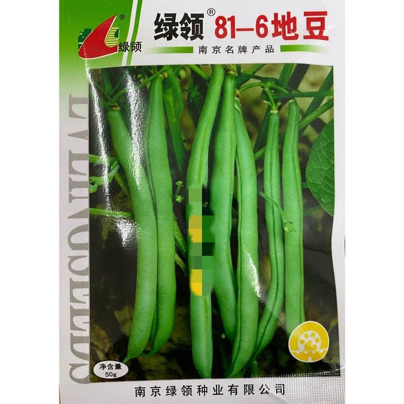 绿领81-6地豆种子，优质无筋无架四季豆2斤装