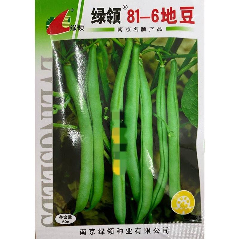 绿领81-6地豆种子，优质无筋无架四季豆2斤装