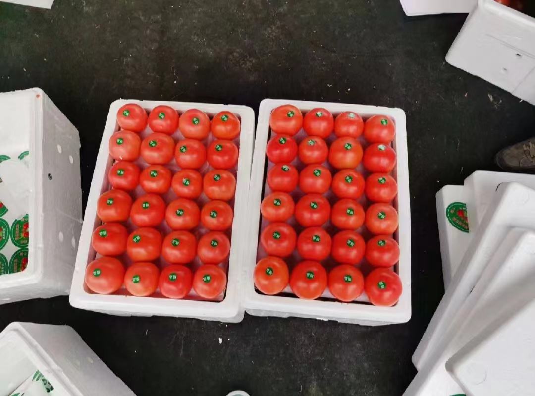 硬粉西红柿与豆腐鸡蛋汤成品图