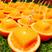 麻阳冰糖橙，美团，多多，社区团购供应仓一件代发电商对平台