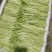 芦蒿12一公斤