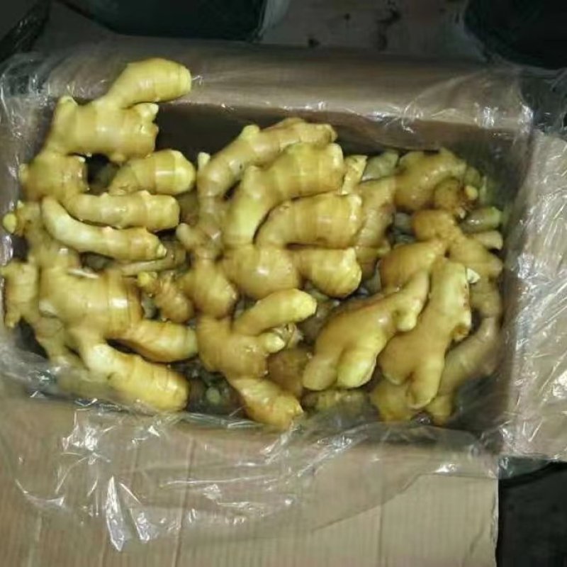 荐-【诚信经营-】对接市场电商（沙土姜/水洗姜/风干姜）