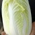 娃娃菜，黄心娃娃菜，大娃娃菜，小娃娃菜