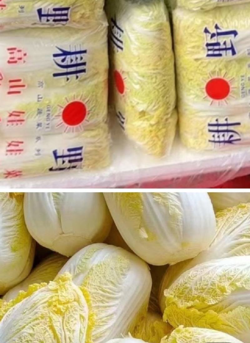 娃娃菜，黄心娃娃菜，大娃娃菜，小娃娃菜