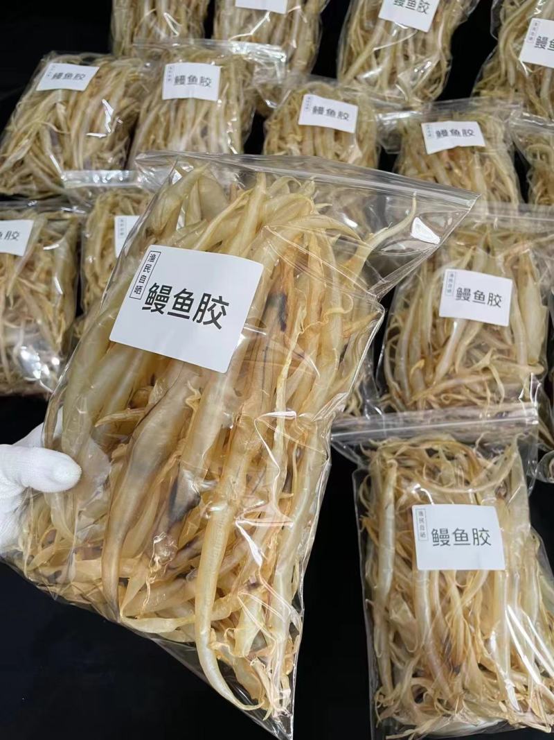 批发【鳝鱼肚】也叫鳗鱼胶各规格都有批发价一手货源实惠款