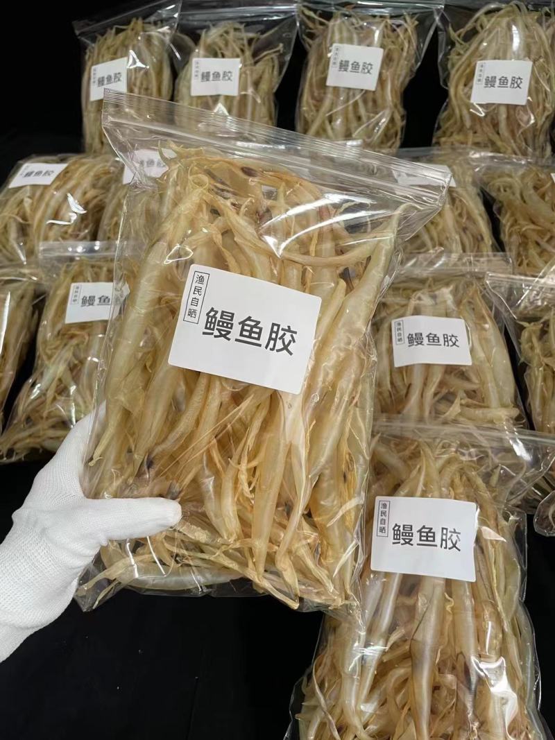 批发【鳝鱼肚】也叫鳗鱼胶各规格都有批发价一手货源实惠款