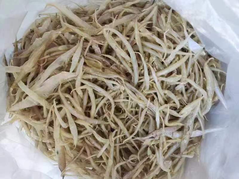 批发【鳝鱼肚】也叫鳗鱼胶各规格都有批发价一手货源实惠款