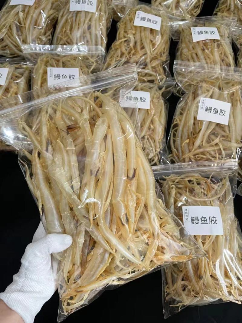 批发【鳝鱼肚】也叫鳗鱼胶各规格都有批发价一手货源实惠款