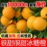 湖南麻阳冰糖橙薄皮橙子纯甜手剥橙农家橙非赣南脐橙一件代发