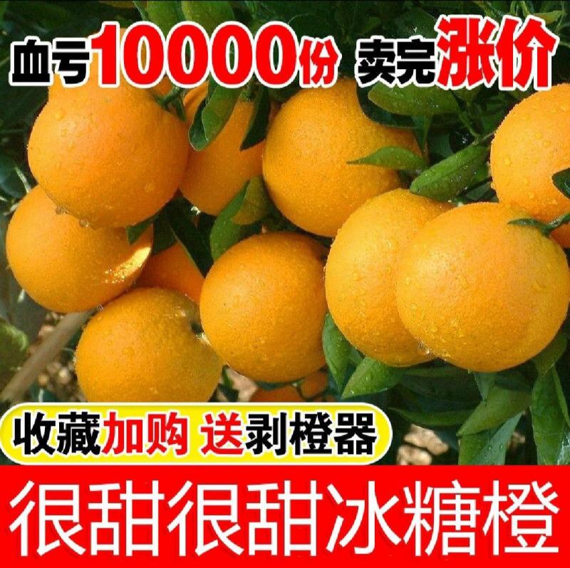 湖南麻阳冰糖橙薄皮橙子纯甜手剥橙农家橙非赣南脐橙一件代发