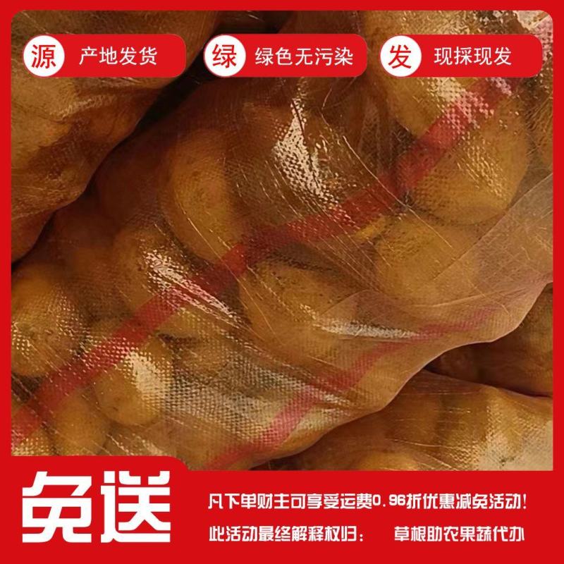 甘肃定西陇薯土豆，货源充足！大量有货！！