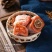 【一件代发】富平柿饼吊柿饼，承接电商、微商、带货等