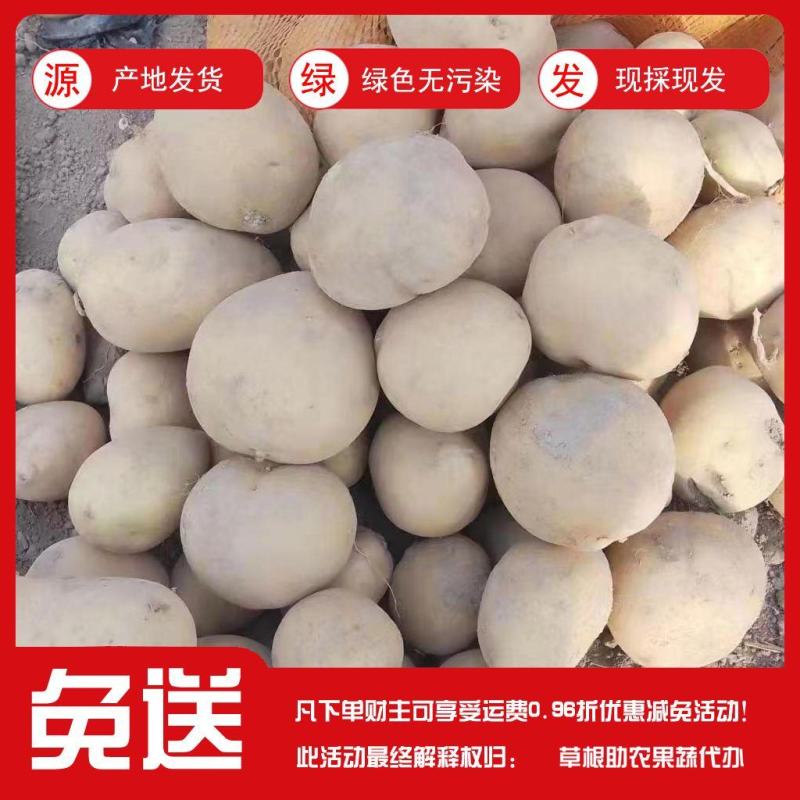 甘肃定西陇薯土豆，货源充足！大量有货！！