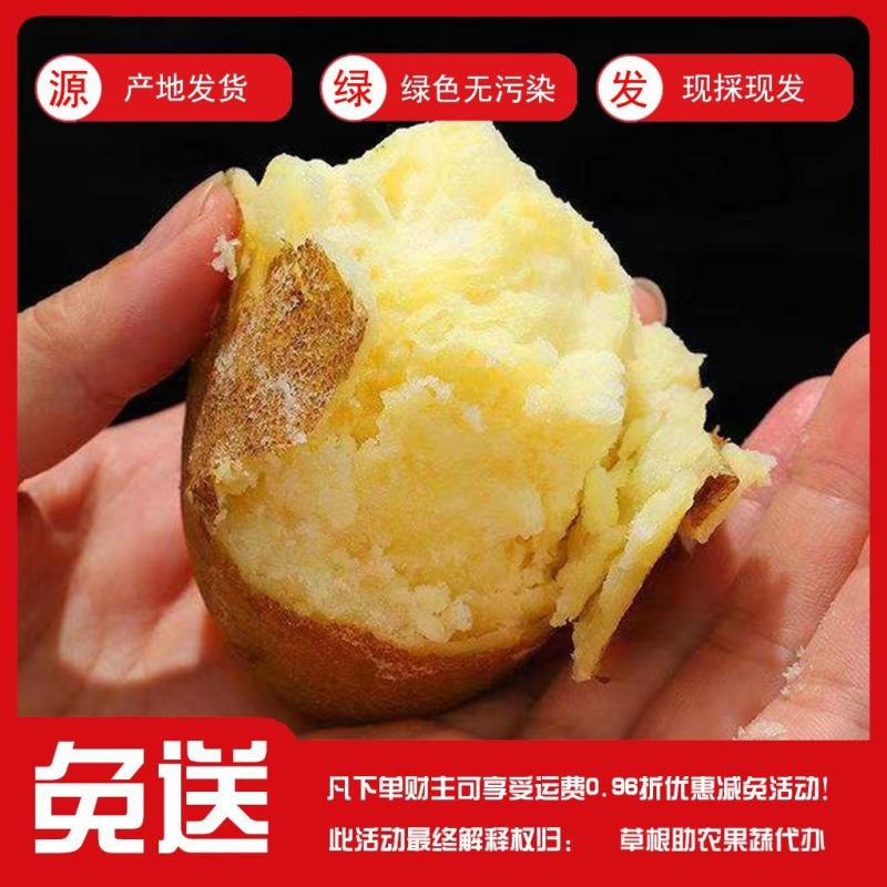 甘肃定西陇薯土豆，货源充足！大量有货！！