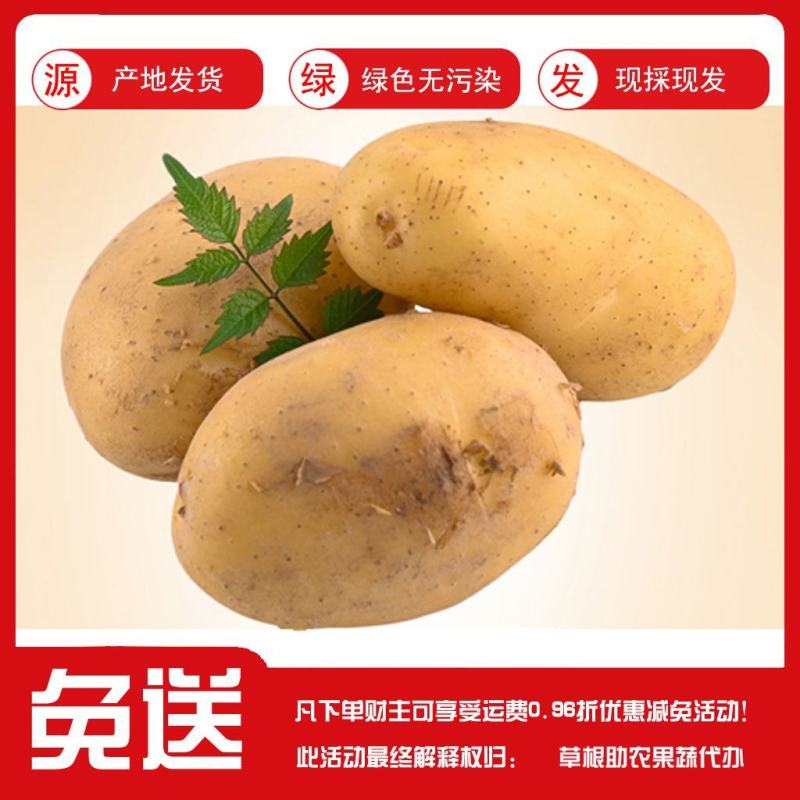 甘肃定西陇薯土豆，货源充足！大量有货！！
