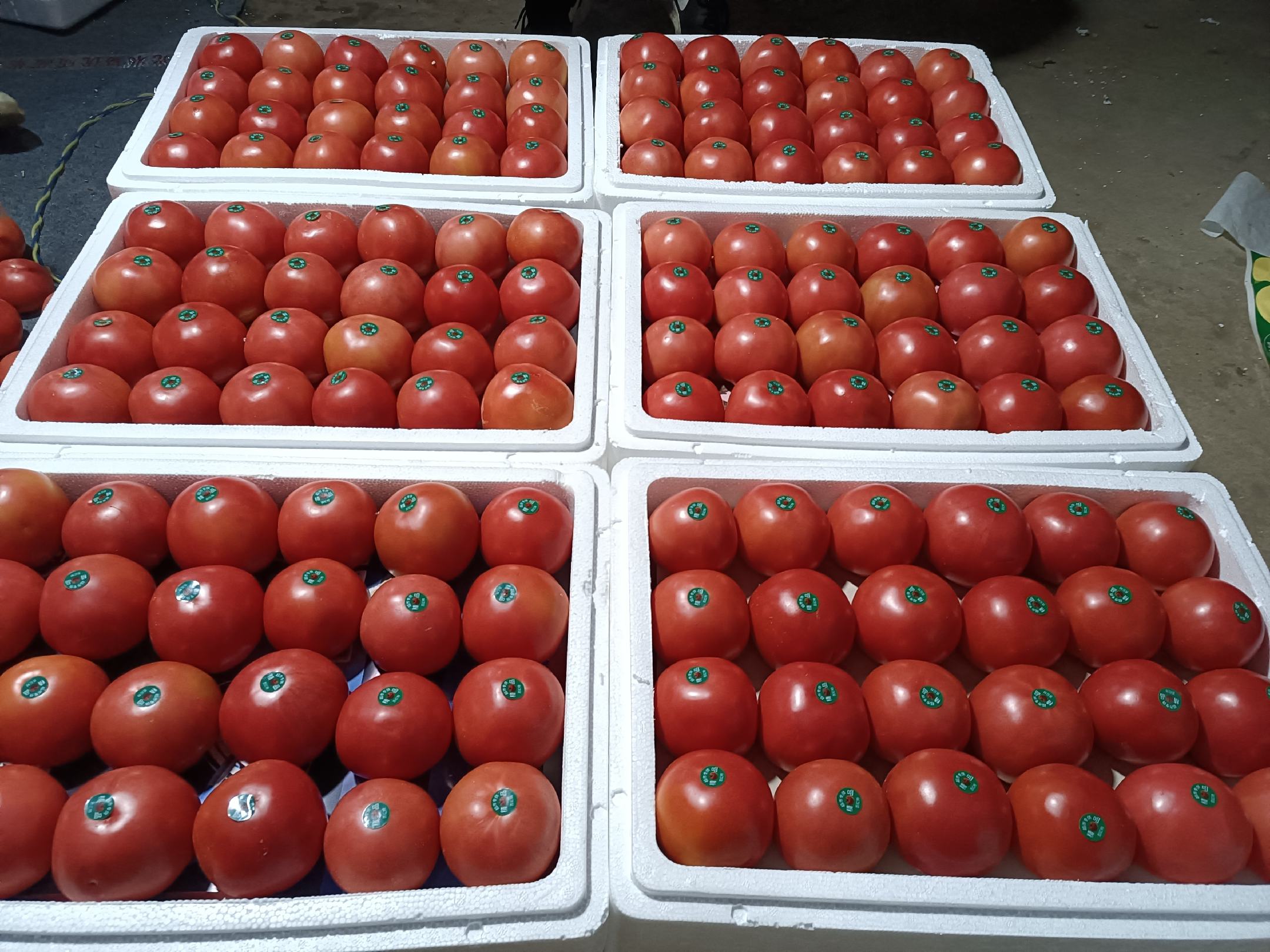 粉冠8号番茄在批发市场中的包装与堆叠展示