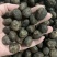 桐籽（三年桐、千年桐油籽）现货30吨大量供应