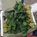 乐奇果蔬精品大叶菠菜产地代办直发处（支持全国发货）