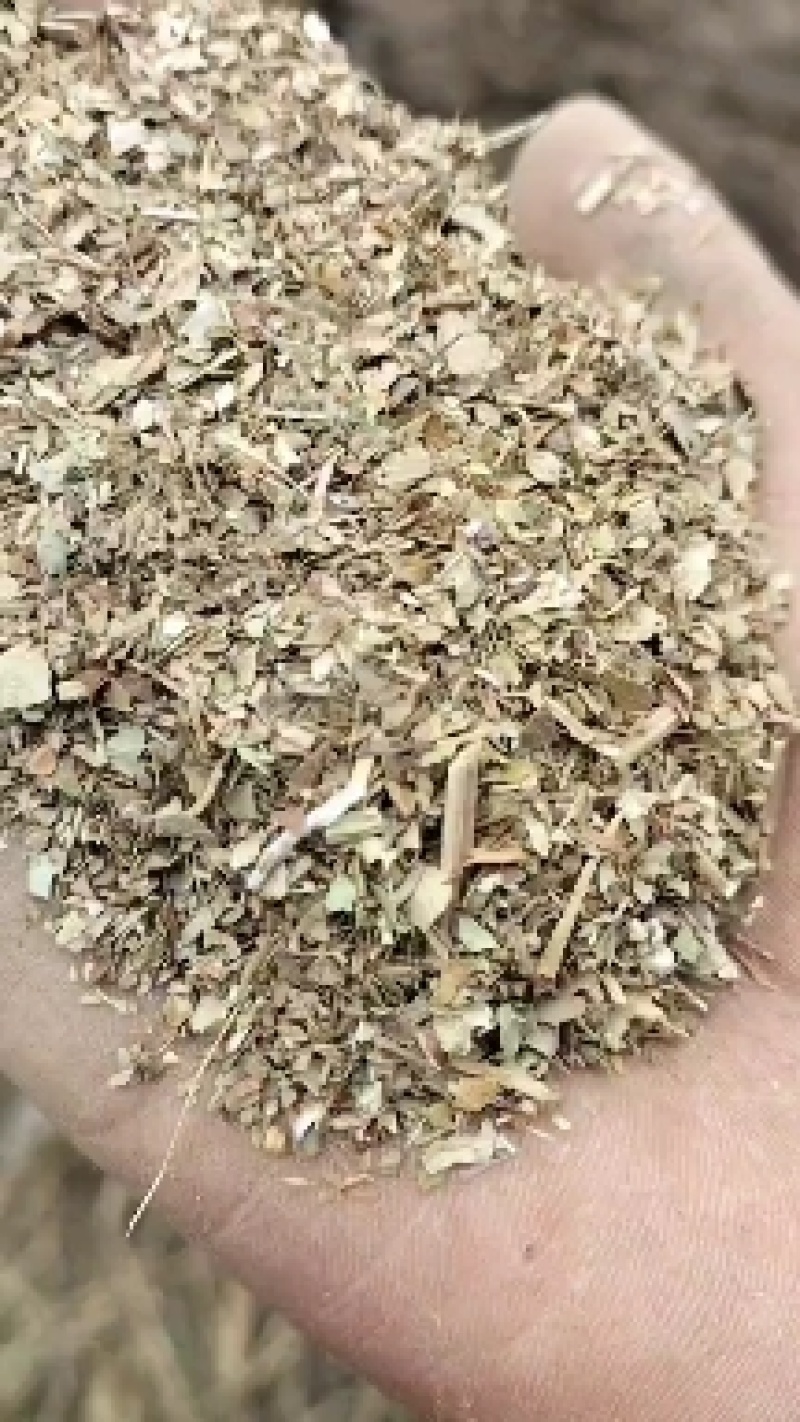 花生秧草粉，鸡猪兔鹅驼鸟专用优质细粉，叶粉