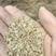 花生秧草粉，鸡猪兔鹅驼鸟专用优质细粉，叶粉