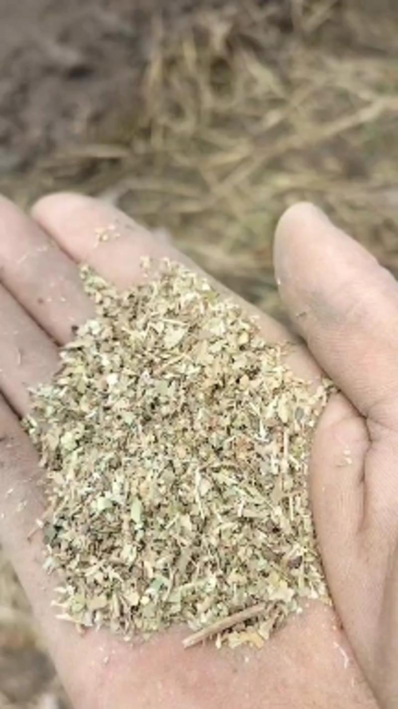 花生秧草粉，鸡猪兔鹅驼鸟专用优质细粉，叶粉
