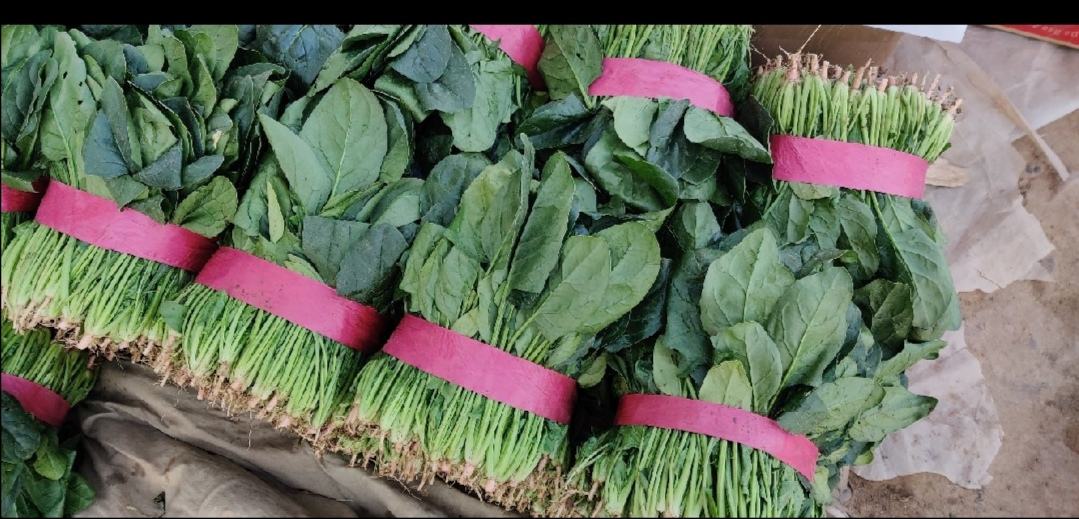 市场中新鲜的绿色菠菜摊位