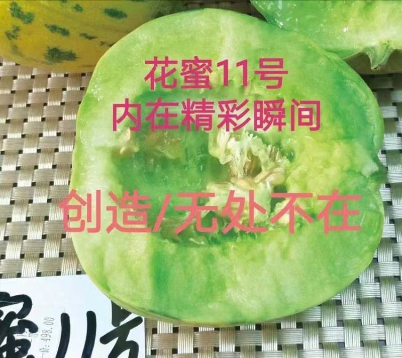 花蜜8号甜瓜种子出苗75天熟结果力强绿肉腔小皮韧耐磨口感