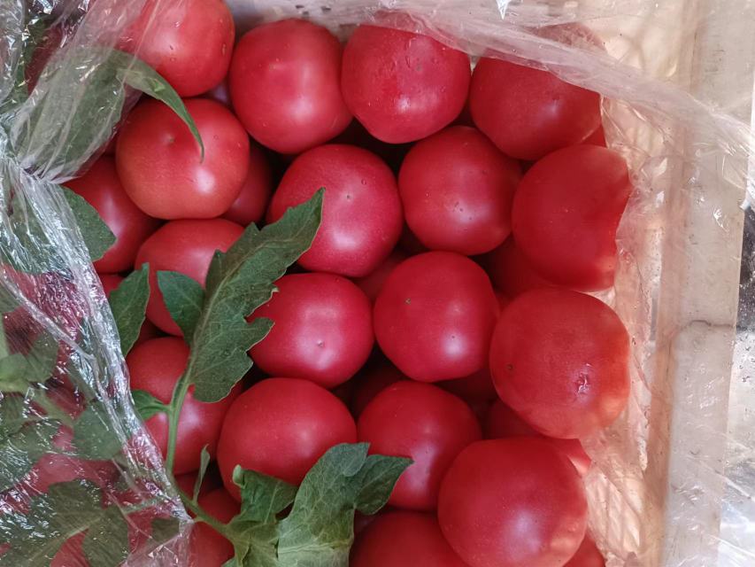 特小凤西瓜与其他水果摆盘展示