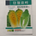娃娃菜种子高产抗病良达盛农优质产品种植优选