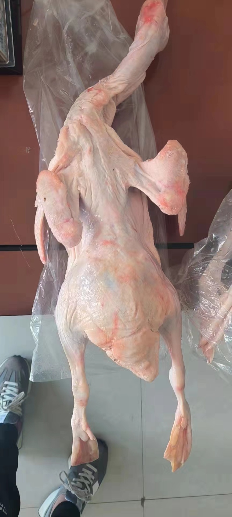 雁鹅白条，大雁鹅，厂家直发，量大优惠，欢迎选候