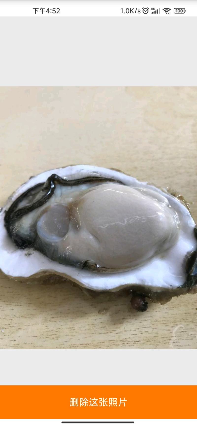 生蚝鲜活烧烤人工现开半壳牡蛎原产地批发海蛎子