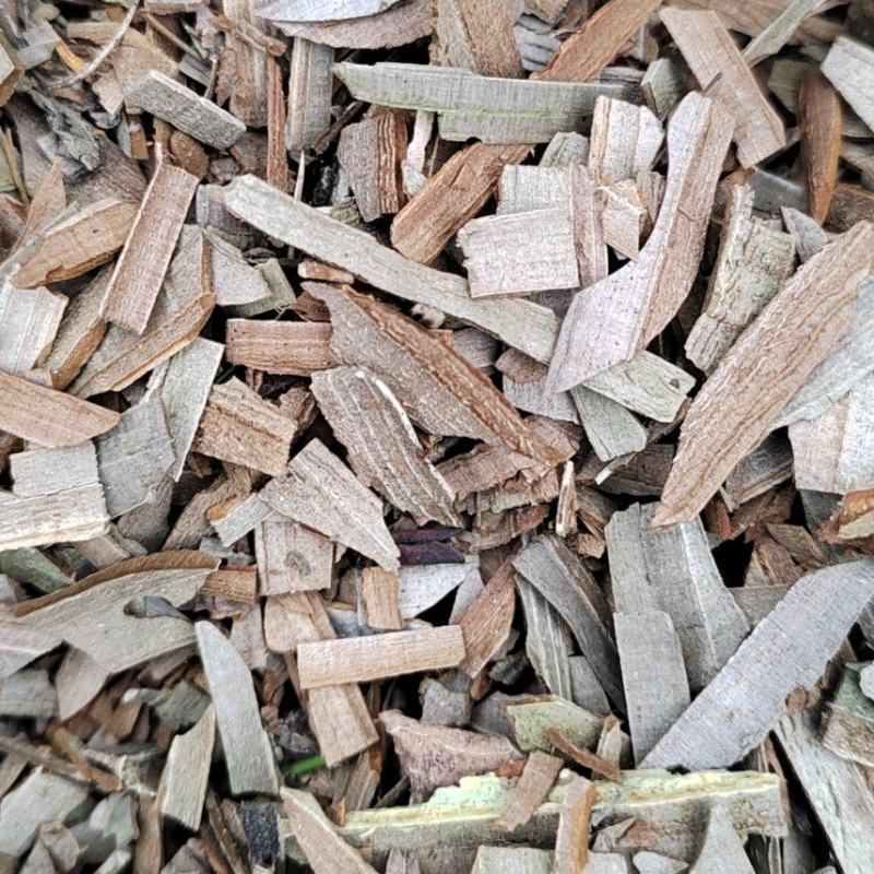 甘肃陇南市西和大片小片鬼箭羽量大从优对接全国欢迎订购