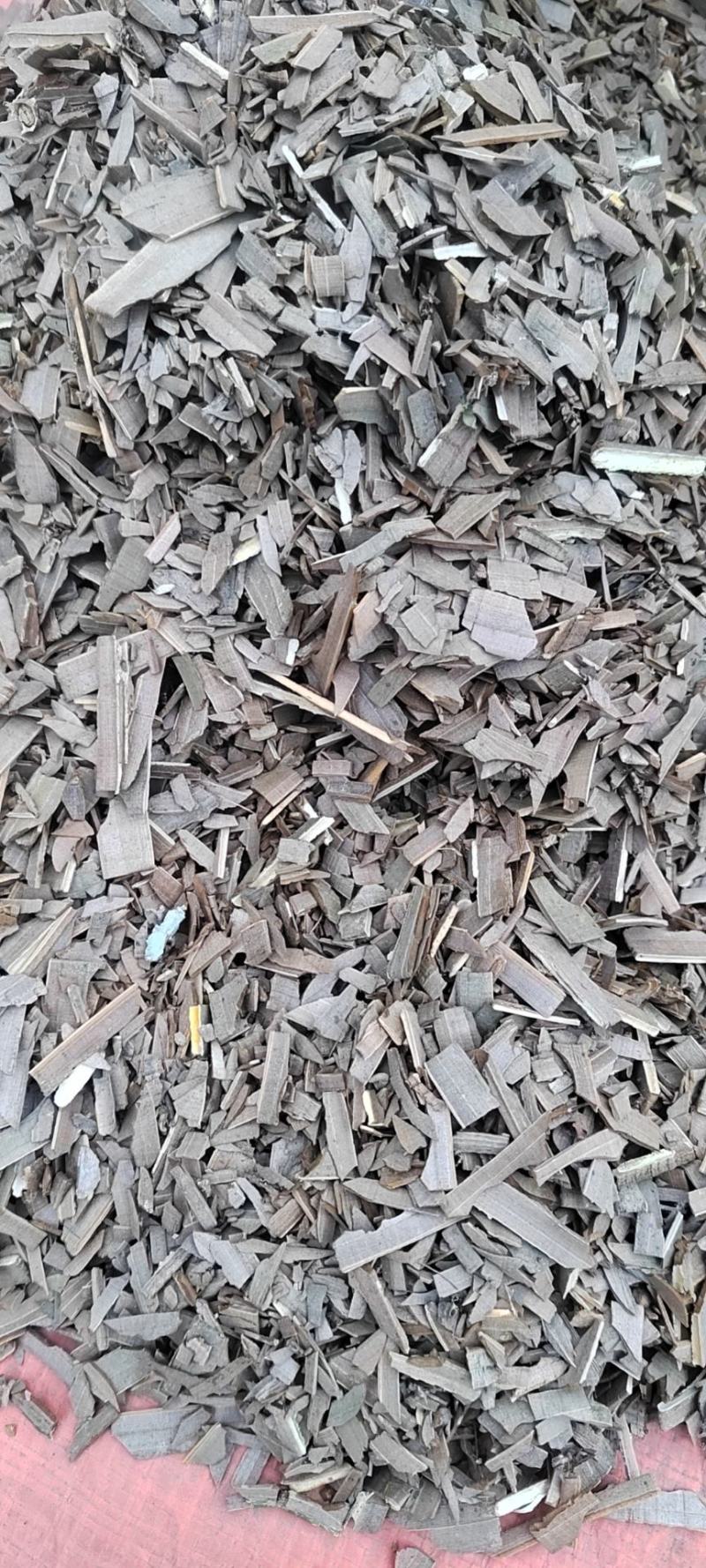 甘肃陇南市西和大片小片鬼箭羽量大从优对接全国欢迎订购
