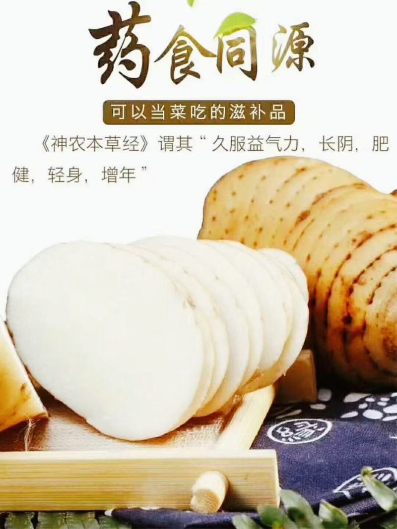 云南昭通小草坝天麻