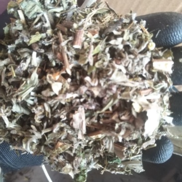 0.8一1公分纯前期优质全棵艾段.无连刀，价格实惠。