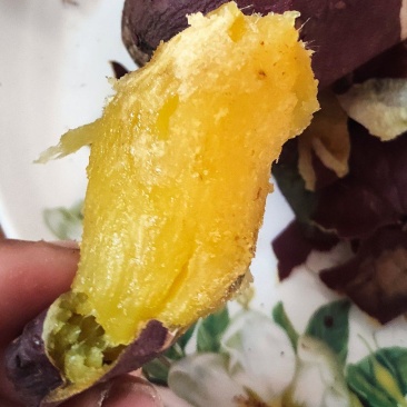 日系贵妃香红薯玛莎帝窖藏商品薯开库