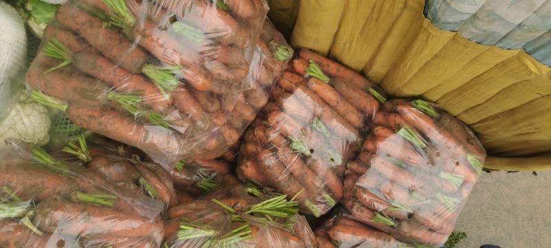 胡萝卜，品质好。营养丰富，视频看货，线上保障交易