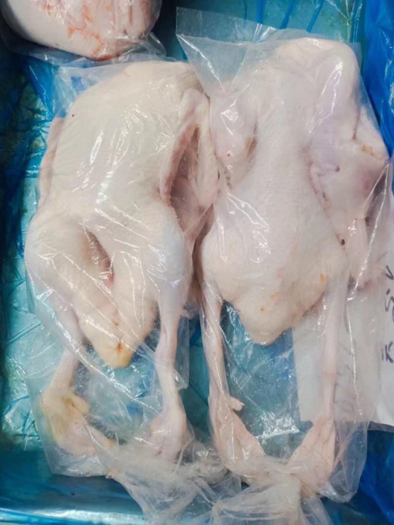 白条鸭