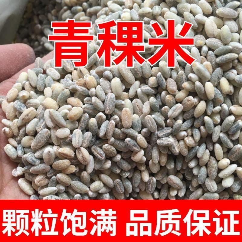 【青海发货】青稞米黑青稞白青稞蓝青稞米青稞米10斤装包邮