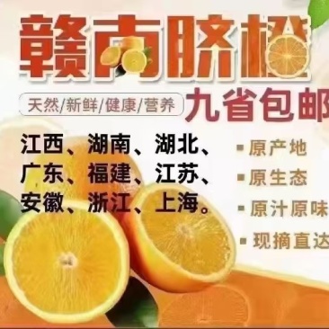 新鲜的赣南脐橙一件代发，送礼，福利，超市供货！