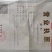 胡萝卜开始上市，包地进行中