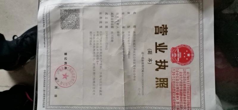 胡萝卜开始上市，包地进行中