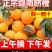 新鲜的赣南脐橙一件代发，送礼，福利，超市供货！
