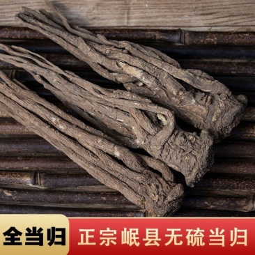 甘肃岷县无硫当归条批发价中药材当归个当归片克正宗当归个统